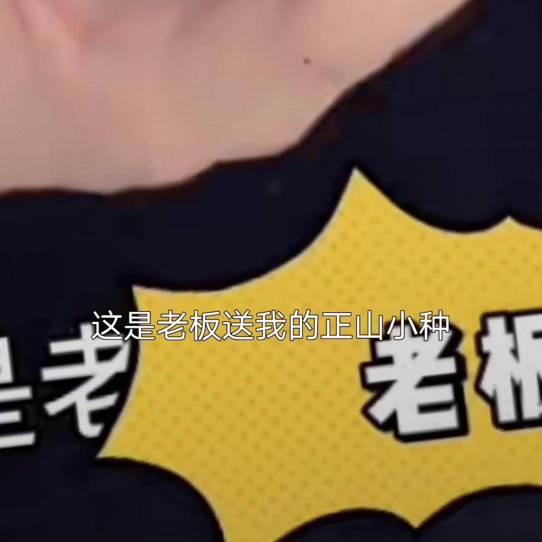 鉴定一下网络热门茶叶视频#络腮大胡子