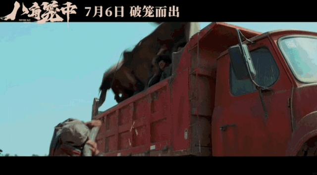 王宝强新片舆论,王宝强新作宣传