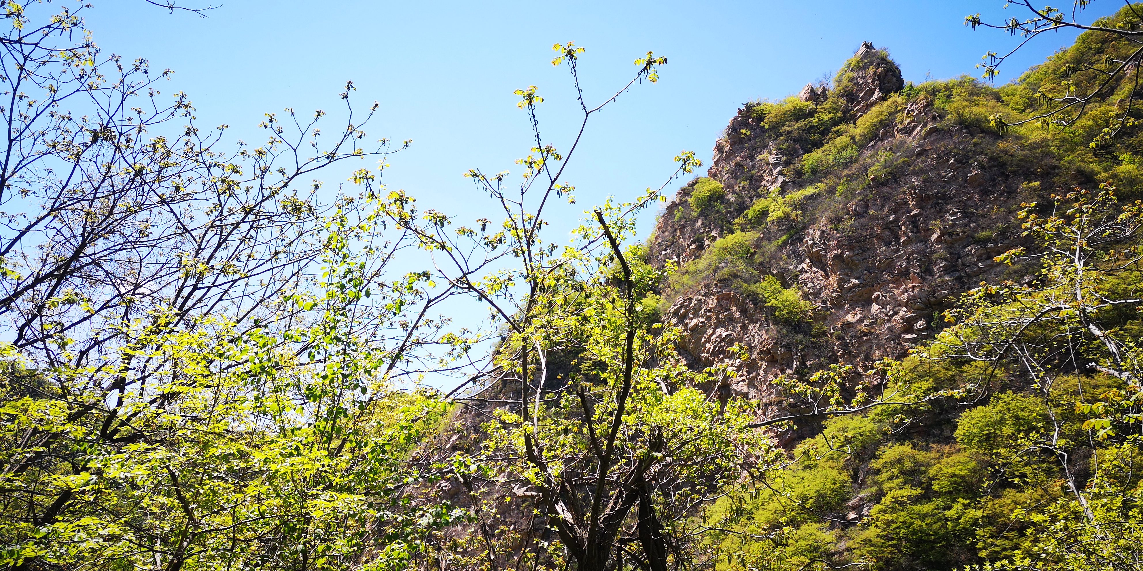 天津梨木台景区值得夏天去的地方,天津蓟县梨木台风景区路线