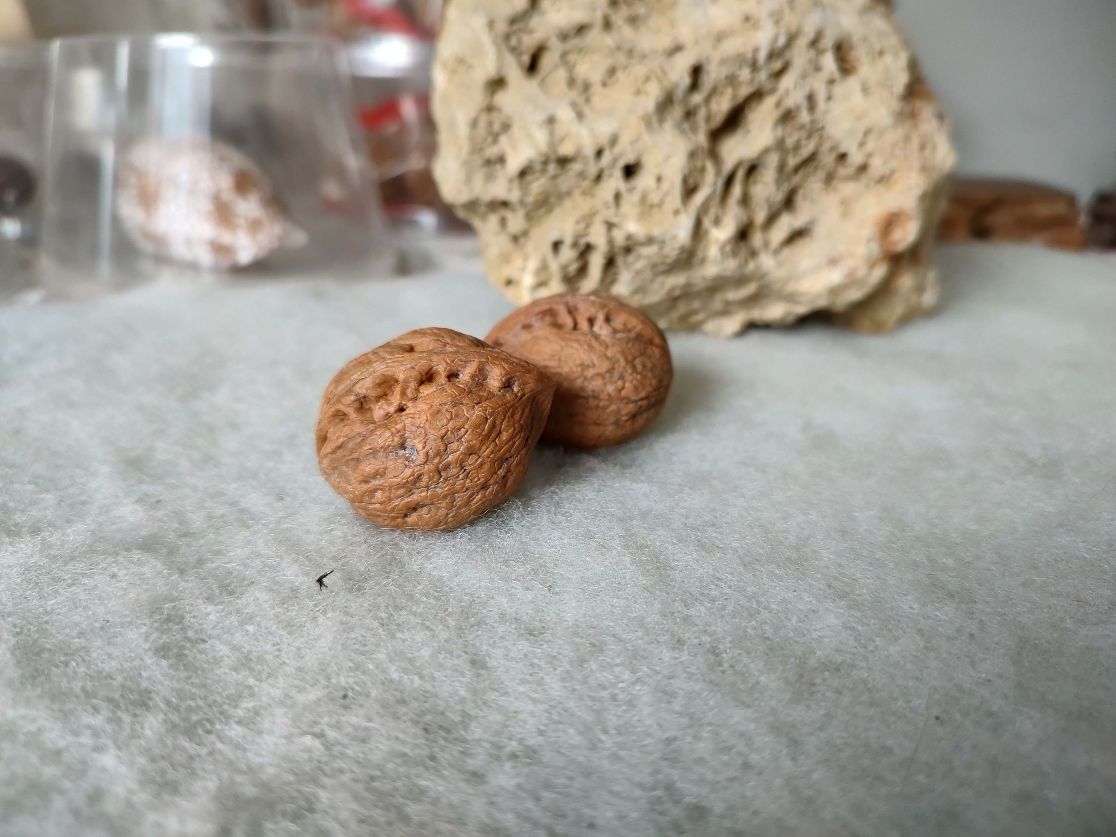 风氏文玩收藏馆：铁核桃——大理鸡心