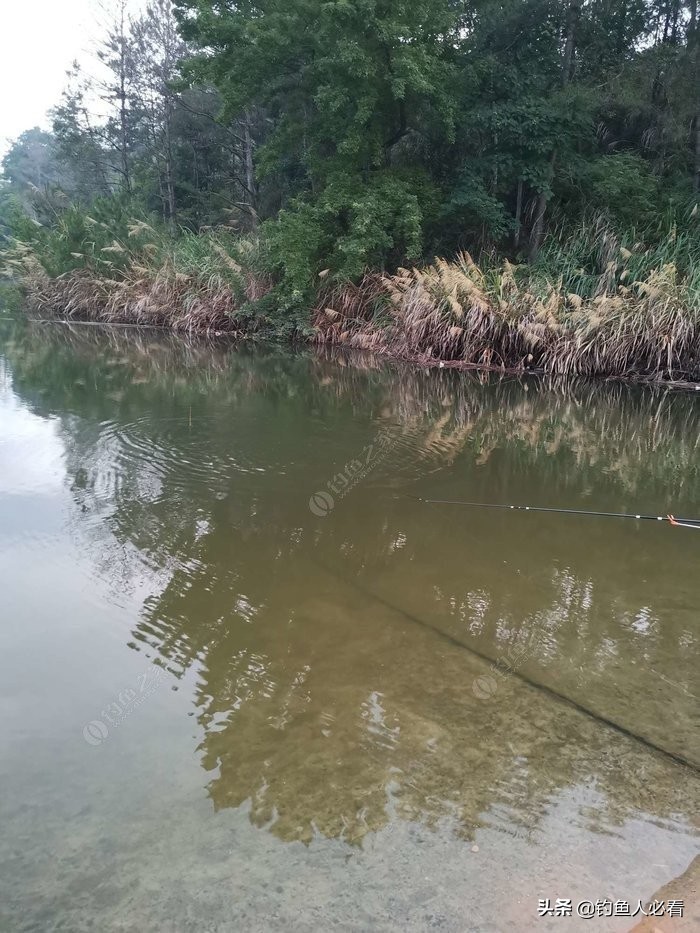 趁休假再来水库，终获大鱼一枚