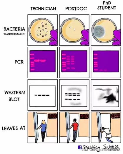 你可能不信：我爸在家里泡姜的图，能气死五个博士