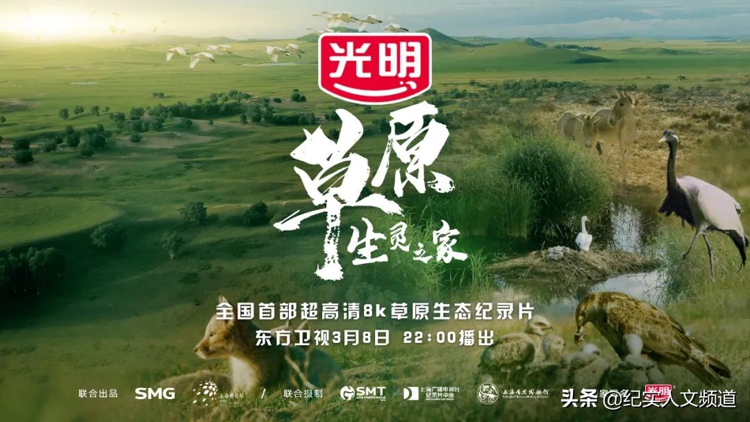 草原看野生动物,独家探访野生动物