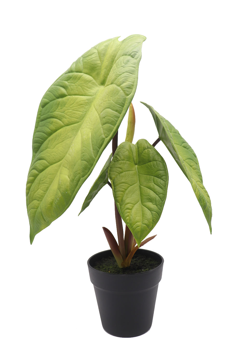 仿真花最好的是什么,仿真花有很逼真的吗