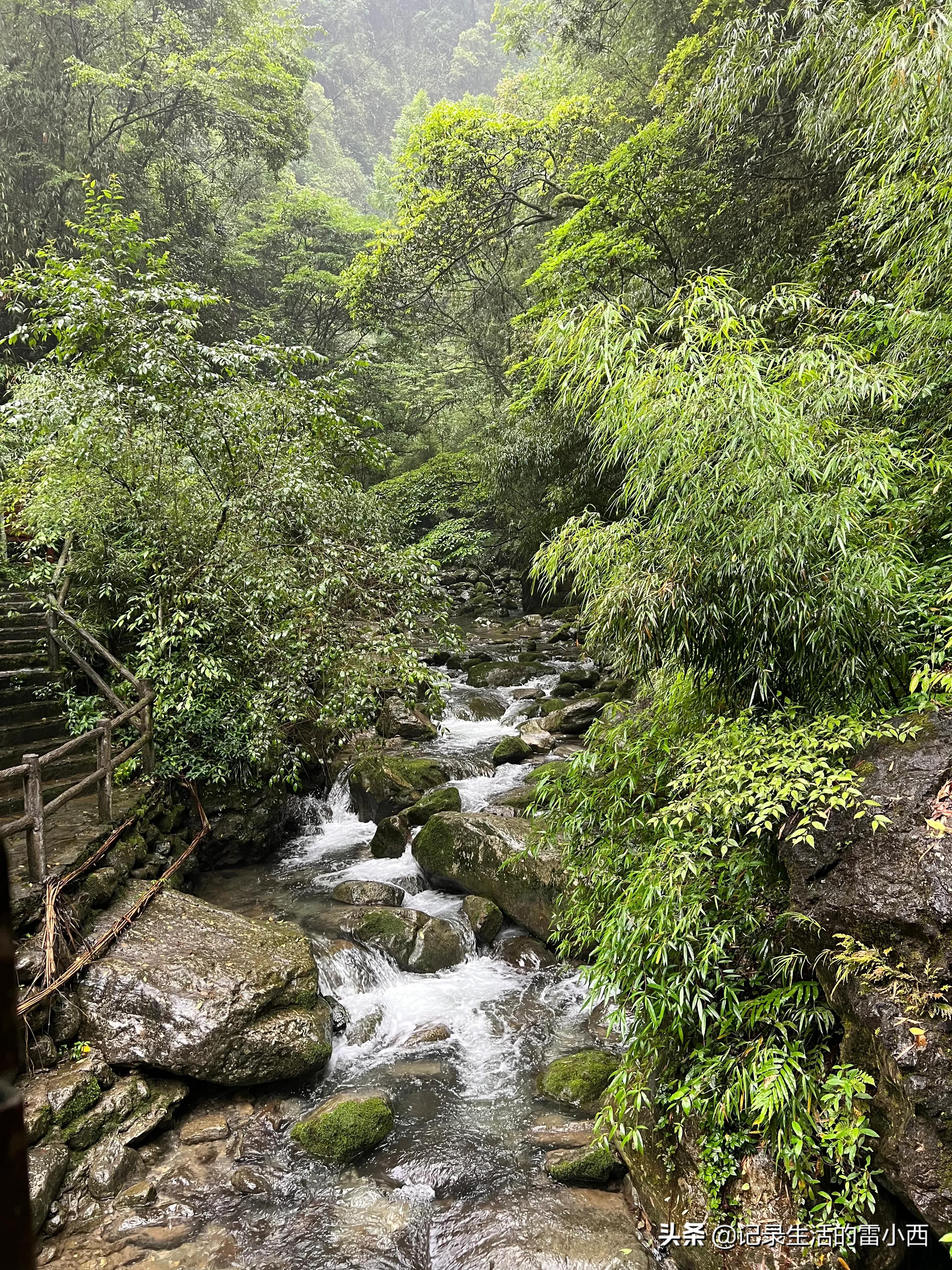 重庆到黑山谷景区怎么坐车,重庆黑山谷自驾游一天