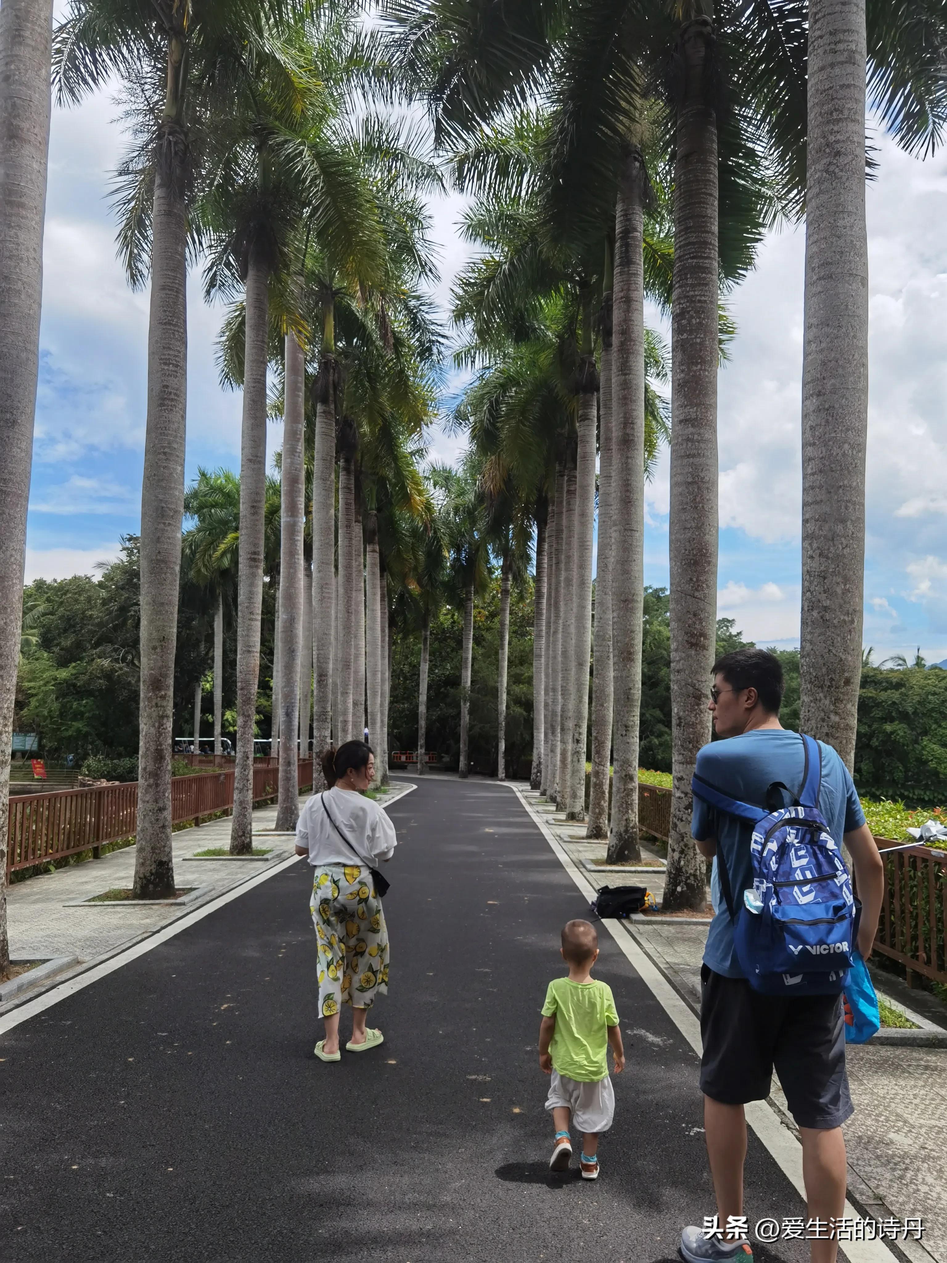 兴隆热带植物园游玩,兴隆植物园旅游攻略