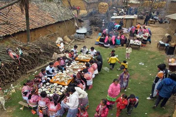 杀年猪的经典文章,杀年猪散文诗