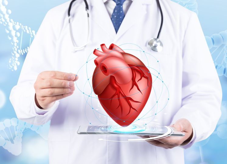 心脏跳动慢吃什么食物,心脏跳动慢的锻炼方法