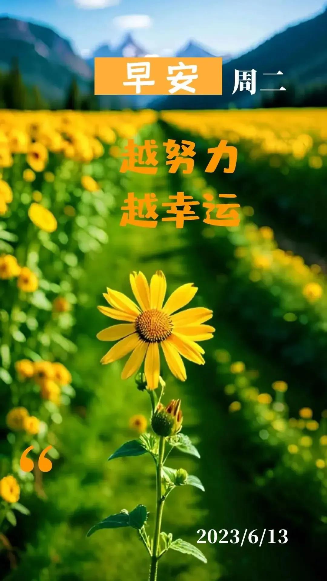 乙木命2023年癸卯年运势怎样,农历2023年癸卯年正月结婚吉日