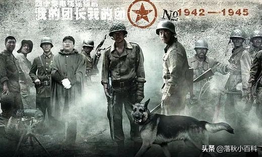 2022豆瓣评分国产电视剧排行榜,豆瓣评分8以上国产战争电视剧