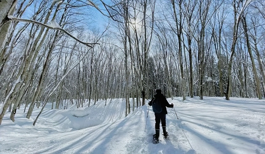 日本网红旅行,日本旅游攻略十大必去的网红景点