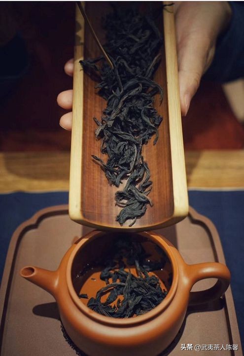 武夷山肉桂怎么挑选,肉桂茶怎么挑选