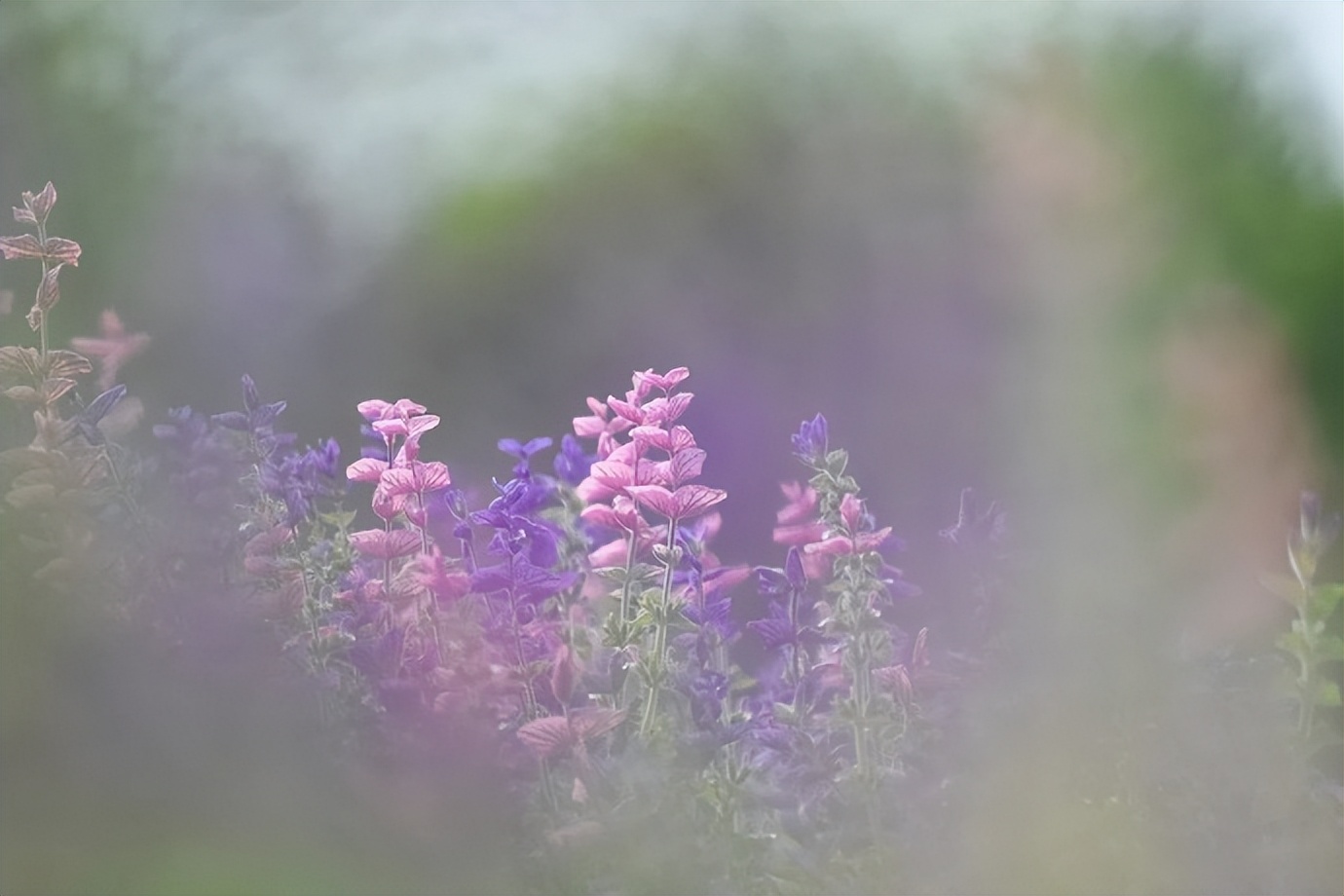 女人喜欢称呼异性哥哥是什么原因,女人称呼女人为哥哥是什么意思