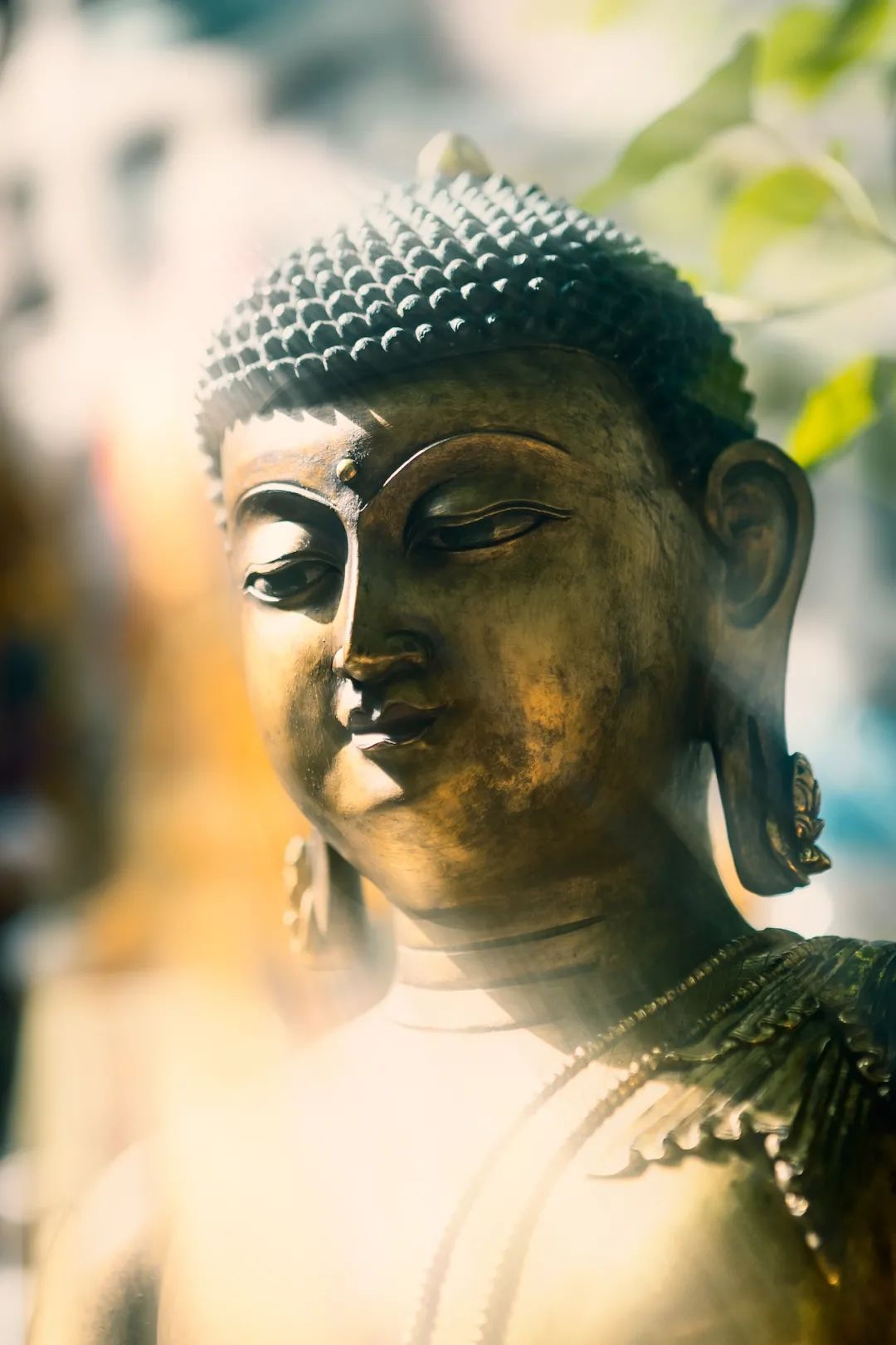 佛家的舍利子是什么意思,佛家舍利子究竟是什么