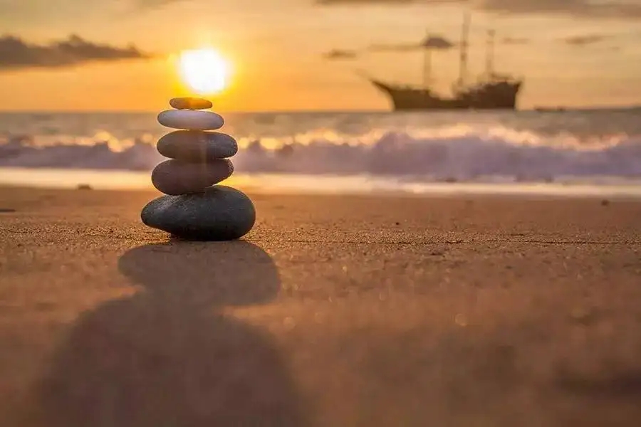 每天一碗心灵鸡汤的感悟,我们应该多看心灵鸡汤文吗