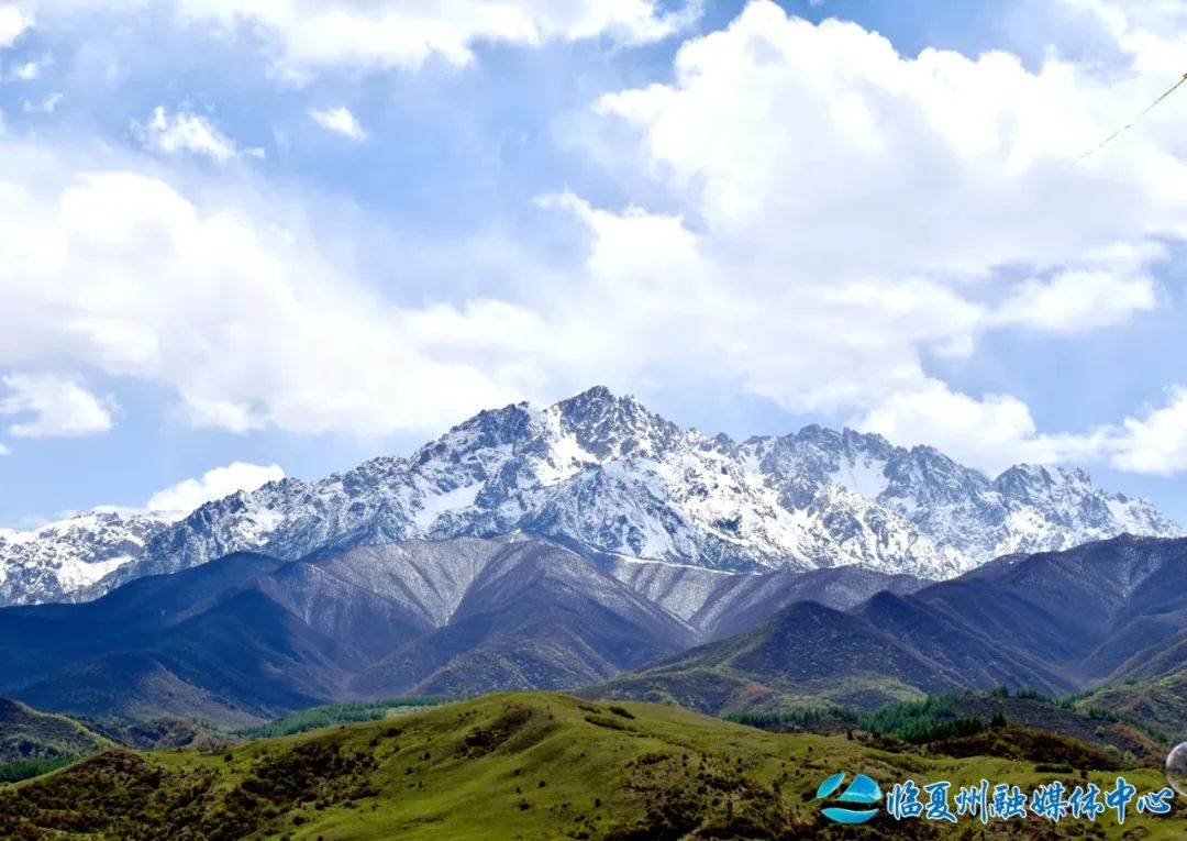 2024骞村宸磋兒閰嶈壊,缁胯壊鐨勫宸磋兒閰嶈壊