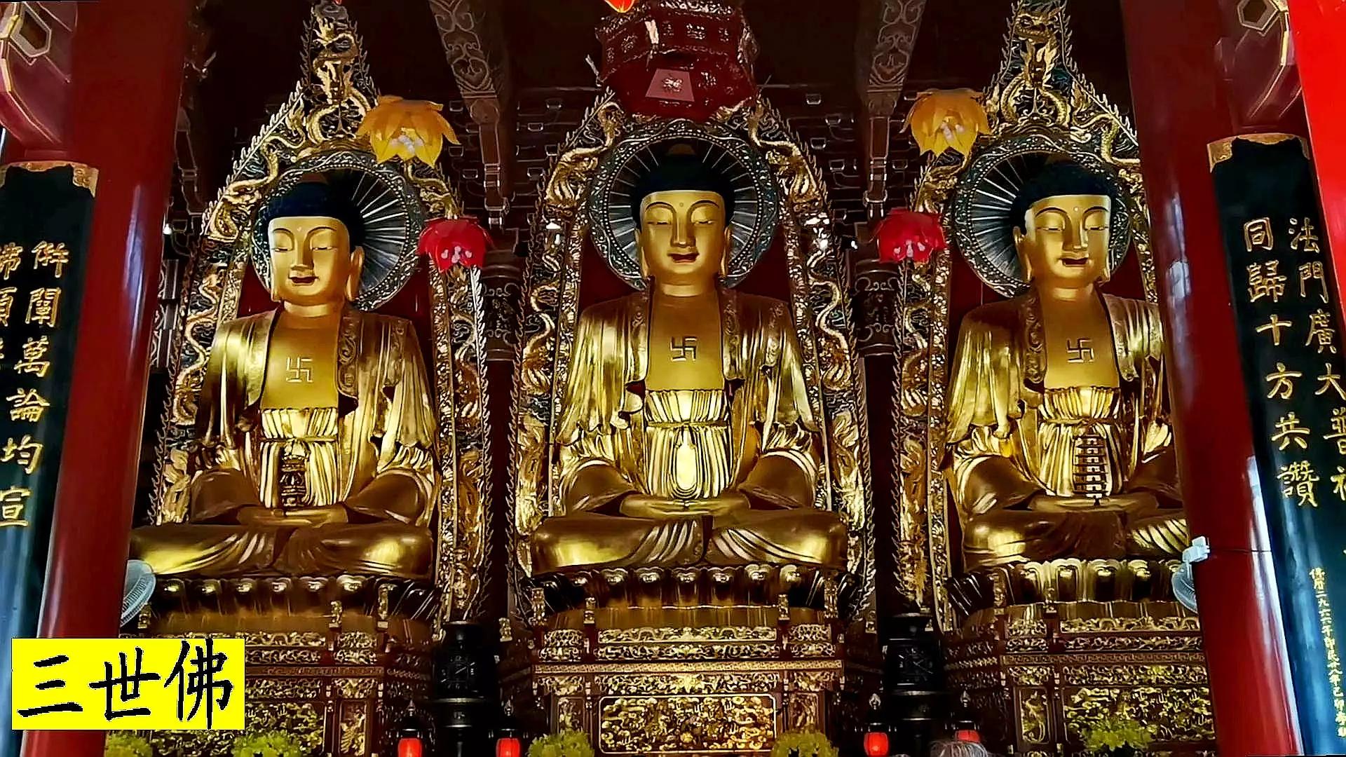 佛教圣地东林寺,东林寺祖庭与净土宗有何区别