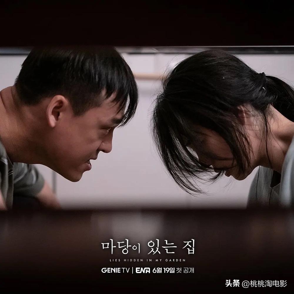 六月有什么好看的新剧,六月份新剧推荐