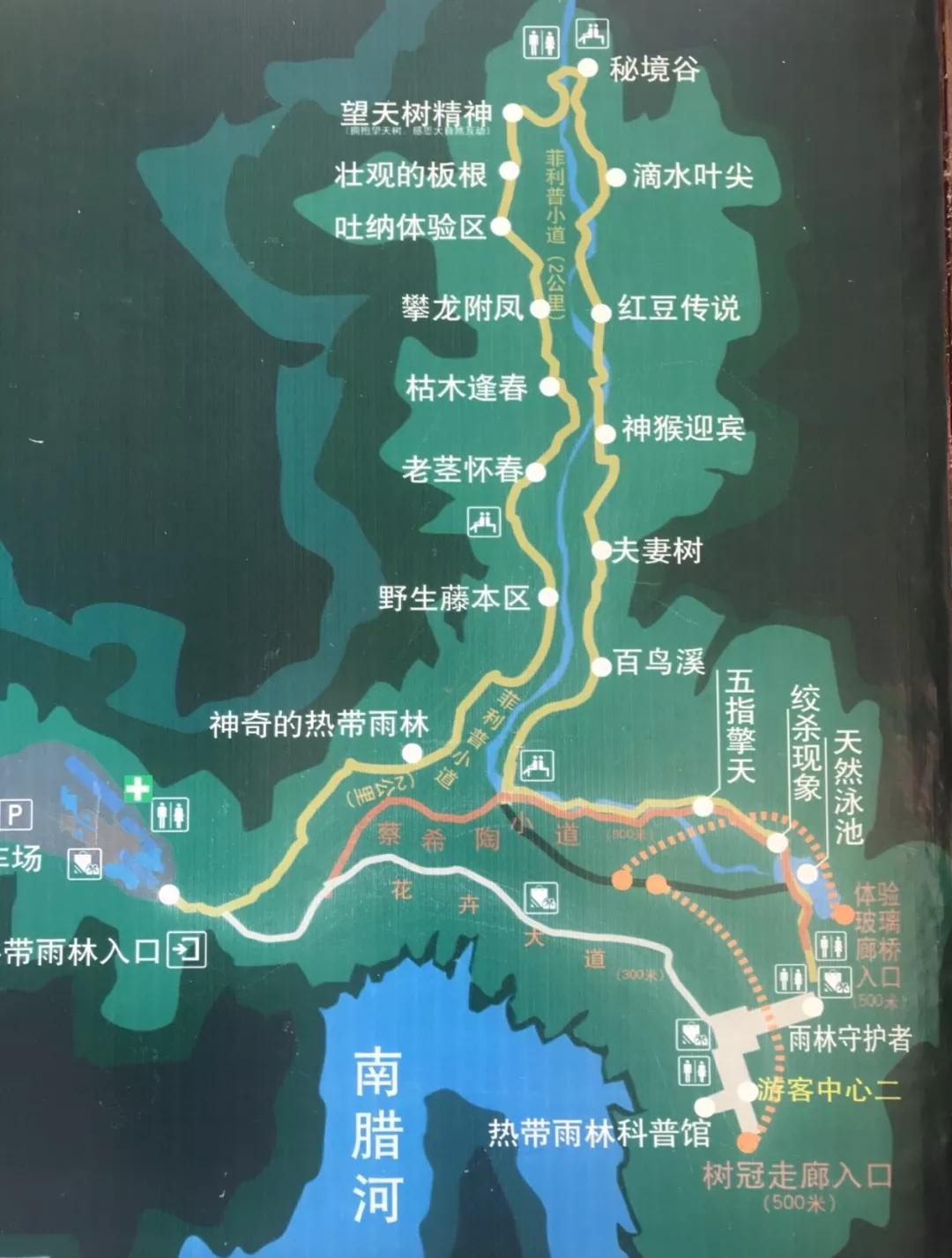 云南西双版纳旅游攻略app,云南西双版纳旅游攻略自由行12月