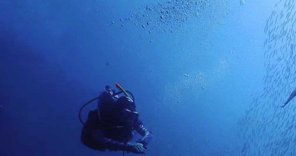 我500强干了7年，钱赚不少却累虚脱，今裸辞投300万在*疆新**开民宿