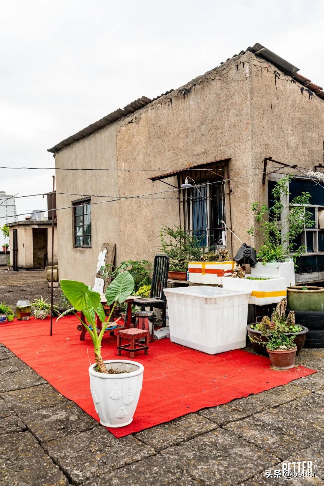 公交车爬楼顶,公交车飞上了楼顶