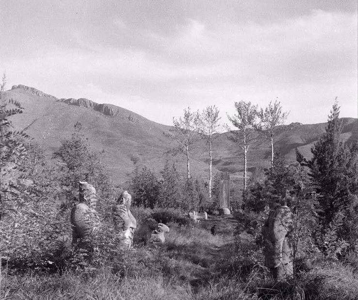 南京板仓街哪里爬紫金山,紫金山板仓街登山路线图