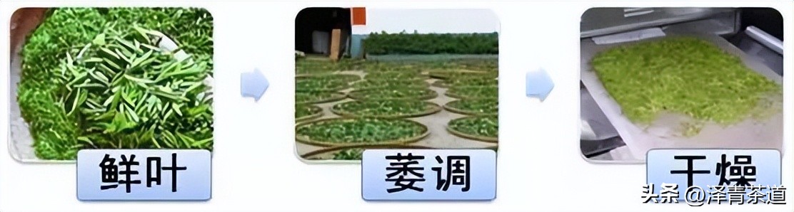 盖碗适合冲泡的六大茶类,中国茶道之六大茶类冲泡