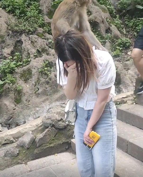 女子和男友去景区游玩，被猴子爬到肩膀上揪头发，男友却无动于衷