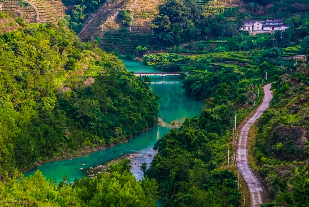 潮州凤凰镇单丛茶保质期,潮州市凤凰镇凤凰单丛茶