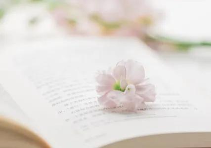 带薪摸鱼月入过万,摸鱼赚钱俩不误