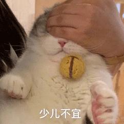 阿迪达斯文案新款,阿迪达斯衣服的文案