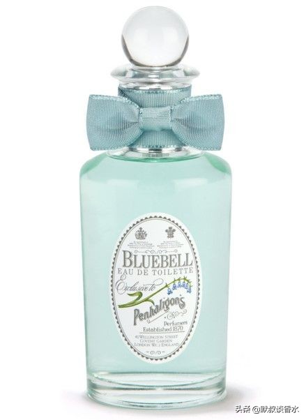 全网最全风信子,风信子蓝色梦幻