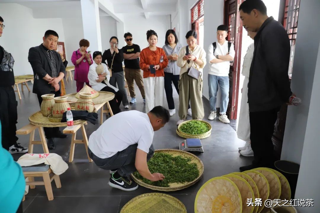 祁红最好听的十首歌,非遗祁红