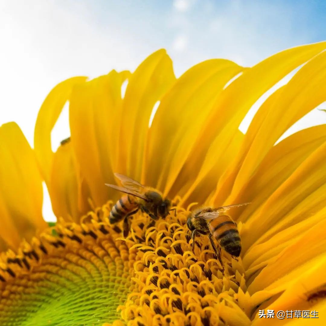 立夏养生三大秘诀,立夏吃什么补身体最好