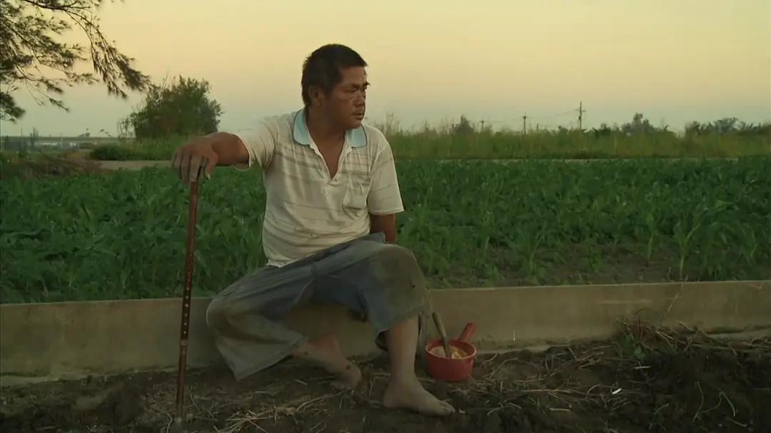 越南新娘骗局大揭秘,如何避免越南新娘骗局