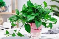 适合小县城大龄人创业的生意,当下赚钱不花钱的创业生意