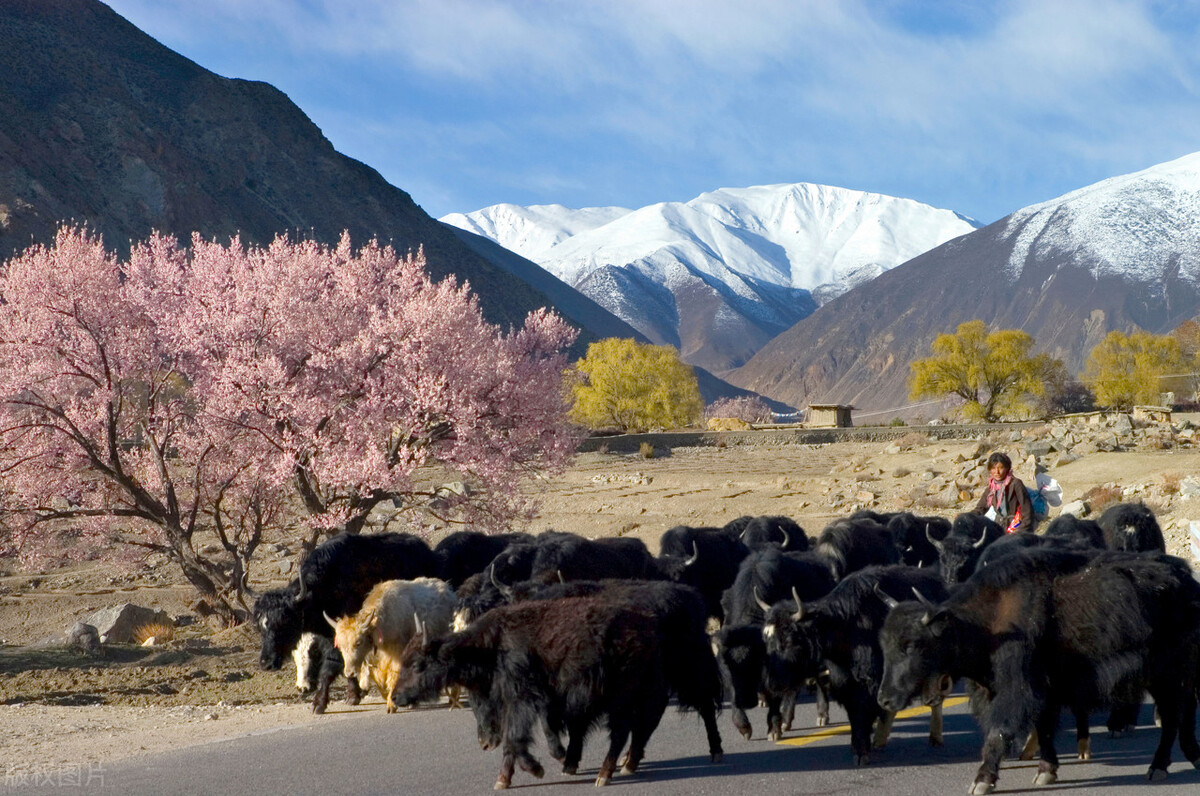 自驾西游通关攻略,从江苏出发西藏自驾游攻略