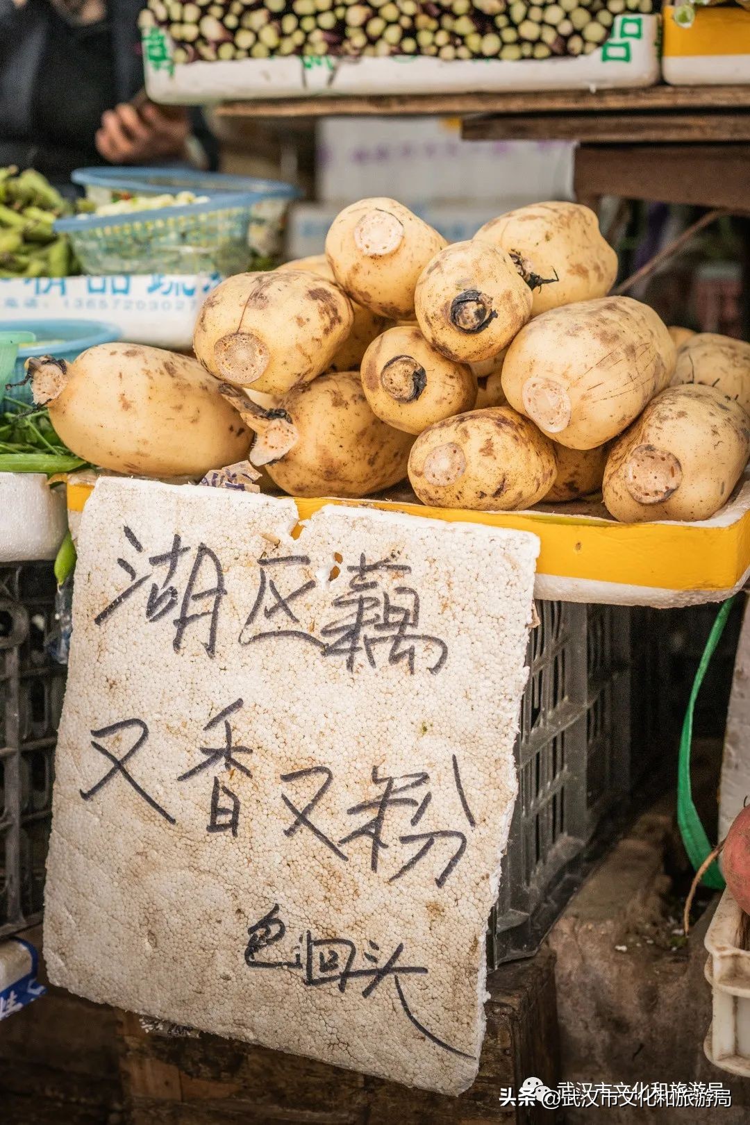 正宗九孔粉藕,武汉人大口喝藕汤的季节来了