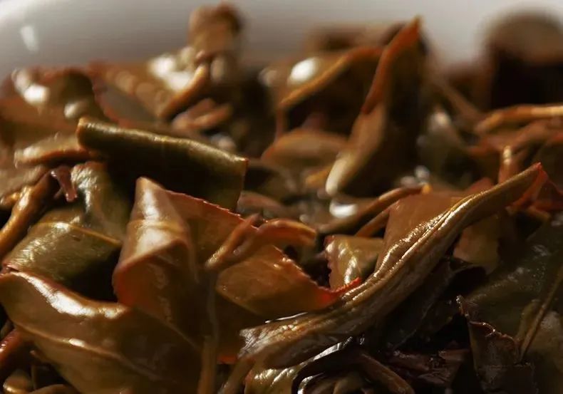 冻顶乌龙茶，“高冷”的茶中之圣