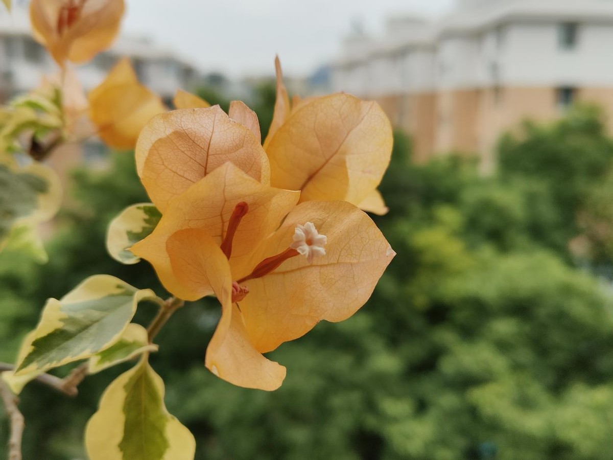 换手机尽量换什么手机,换手机最好用什么手机