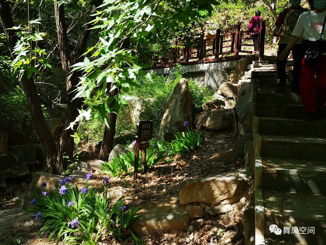 西山国家森林公园海拔,西山国家森林公园昆明