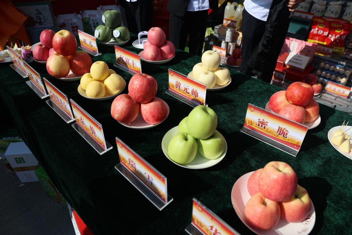 长武:多措并举打好果品宣传营销“组合拳”