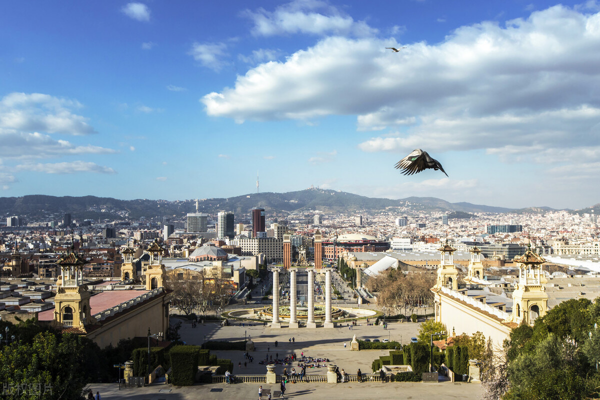 西班牙移民项目流程,西班牙新移民种类介绍图