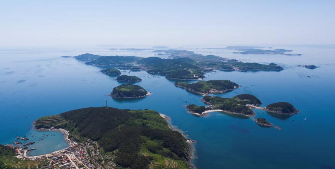 大连海参今后发展,大连海参产量全国占比多少