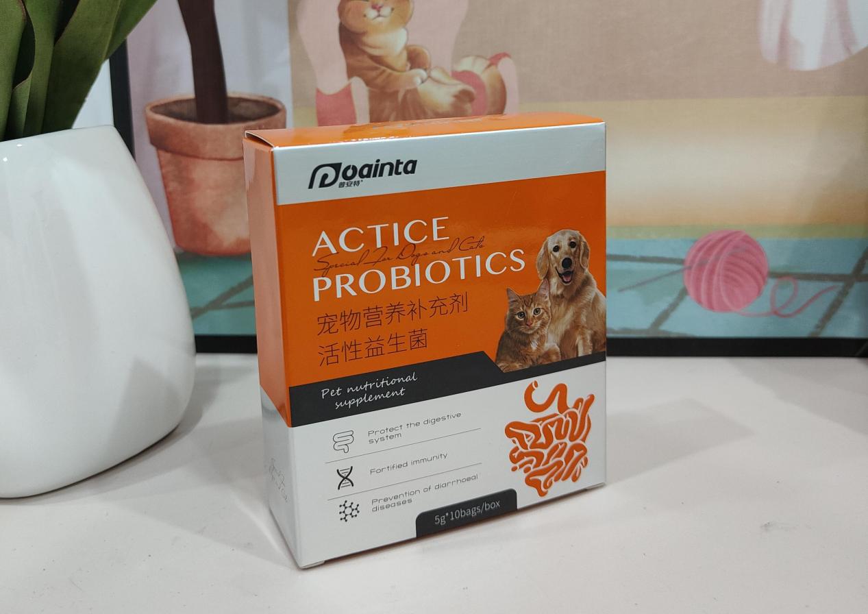 怎么训练狗狗不吃外面的食物,狗狗怎么训练不吃别人给的食物