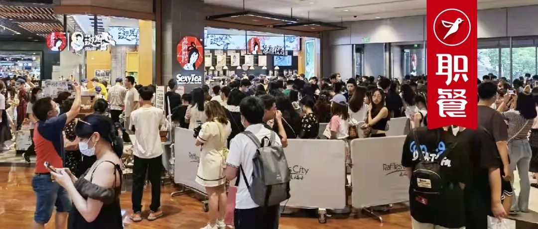 茶颜悦色入驻重庆多少家店,茶颜悦色重庆开业排队场景