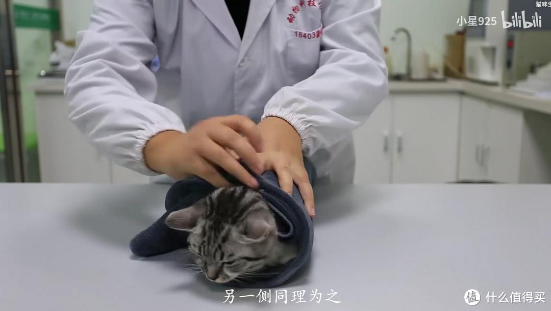 猫咪病了怎么喂药,薛定谔的猫咪教程