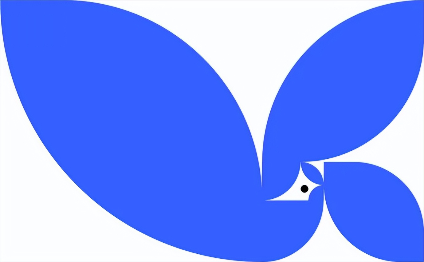 黄金比例螺旋线怎么画,螺旋线拍照技巧与角度