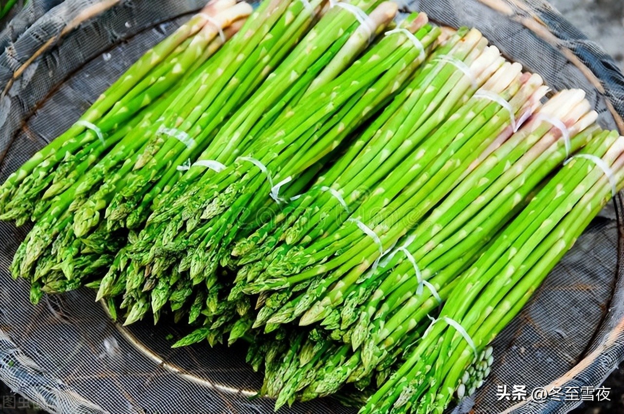 5种高叶酸的菜是什么菜,5种富含叶酸高的食材