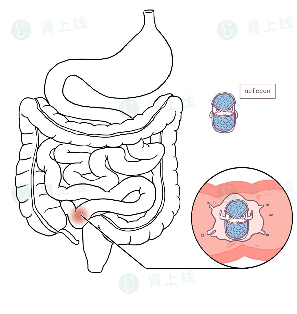 iga肾病的靶向药多少钱,iga肾病20万特药